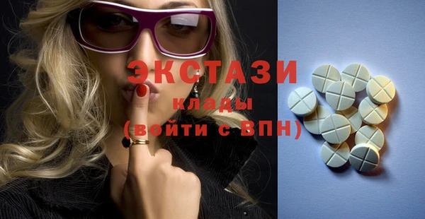 дживик Ельня