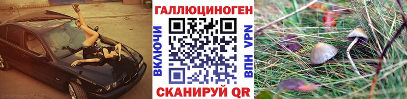 Галлюциногенные грибы Magic Shrooms  Борисоглебск 